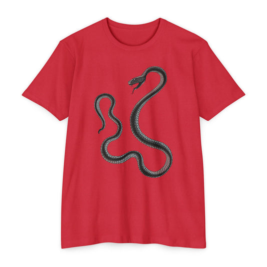 Momba Mentality Gym Tee - T-shirt