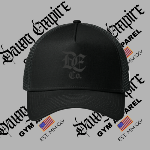 New Era DE Co Hat